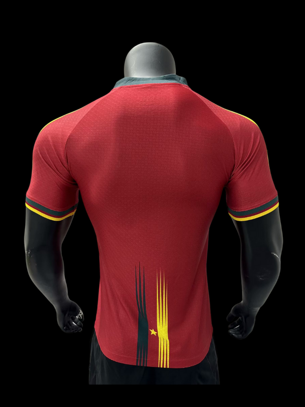 Maillots joueurs Cameroun