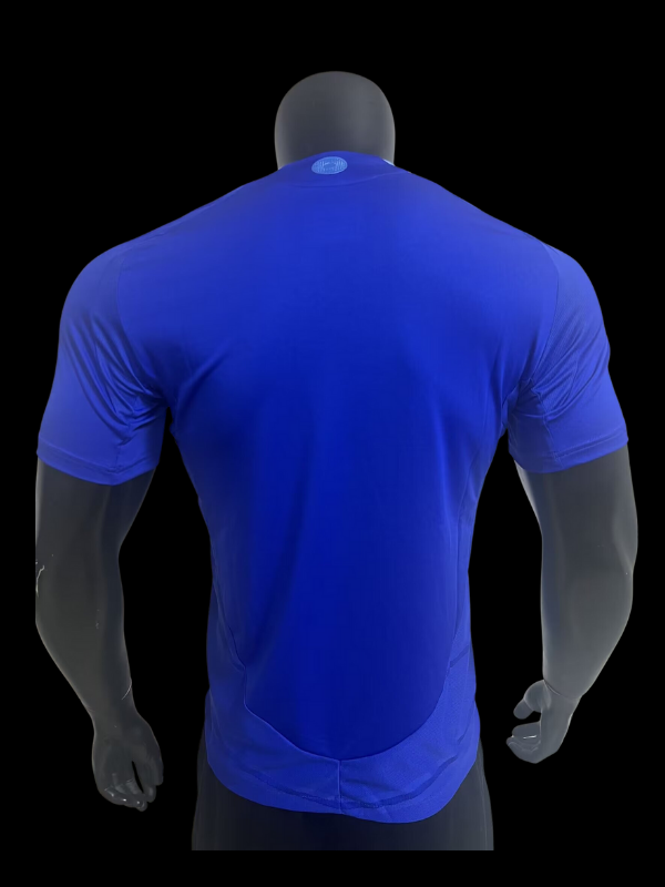 Maillots joueurs argentine