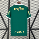 Maillot Palmeiras domicile 2024 2025