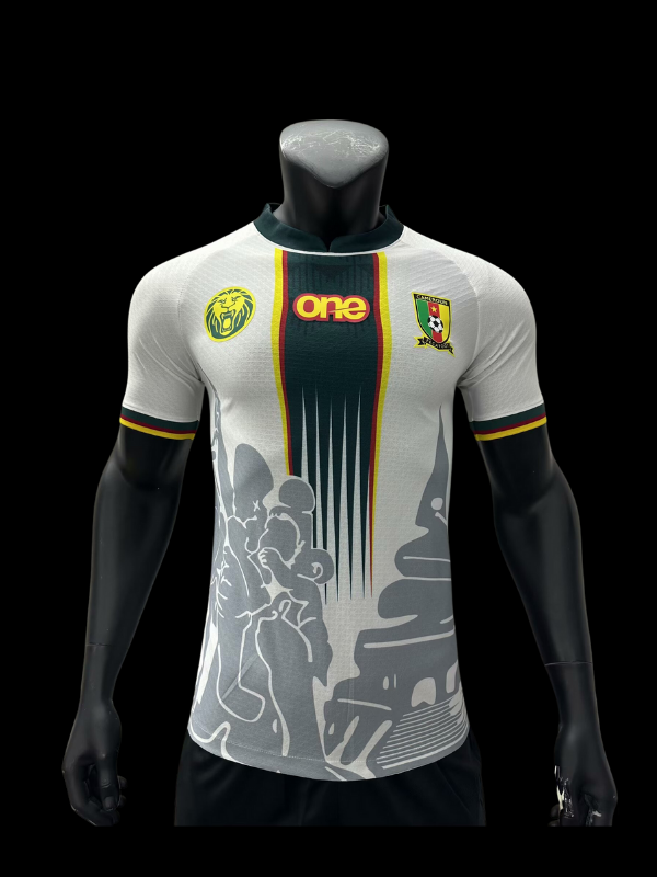 Maillots joueurs Cameroun