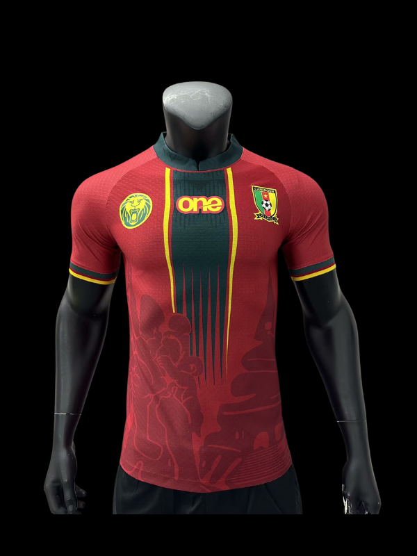 Maillots joueurs Cameroun