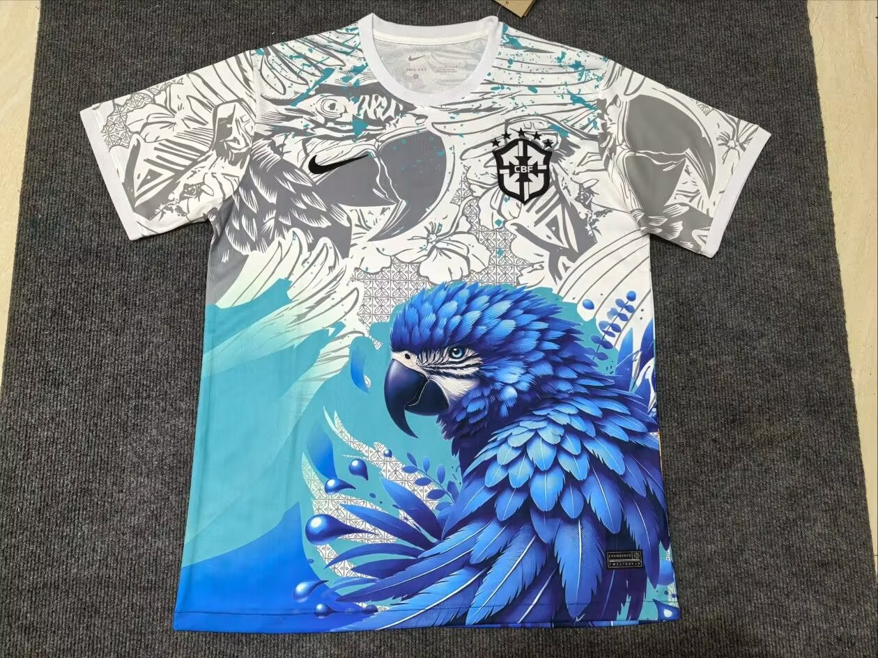 Maillot Brésil 25-26