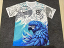 Maillot Brésil 25-26
