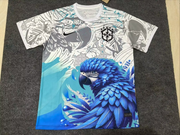 Maillot Brésil 25-26