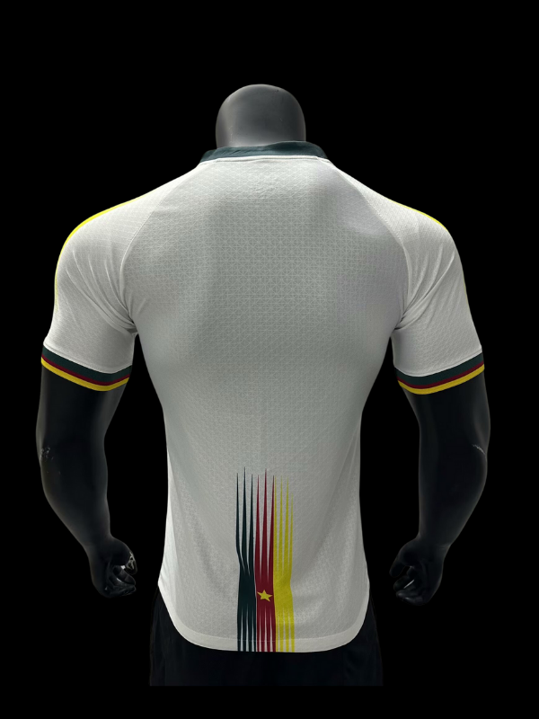 Maillots joueurs Cameroun