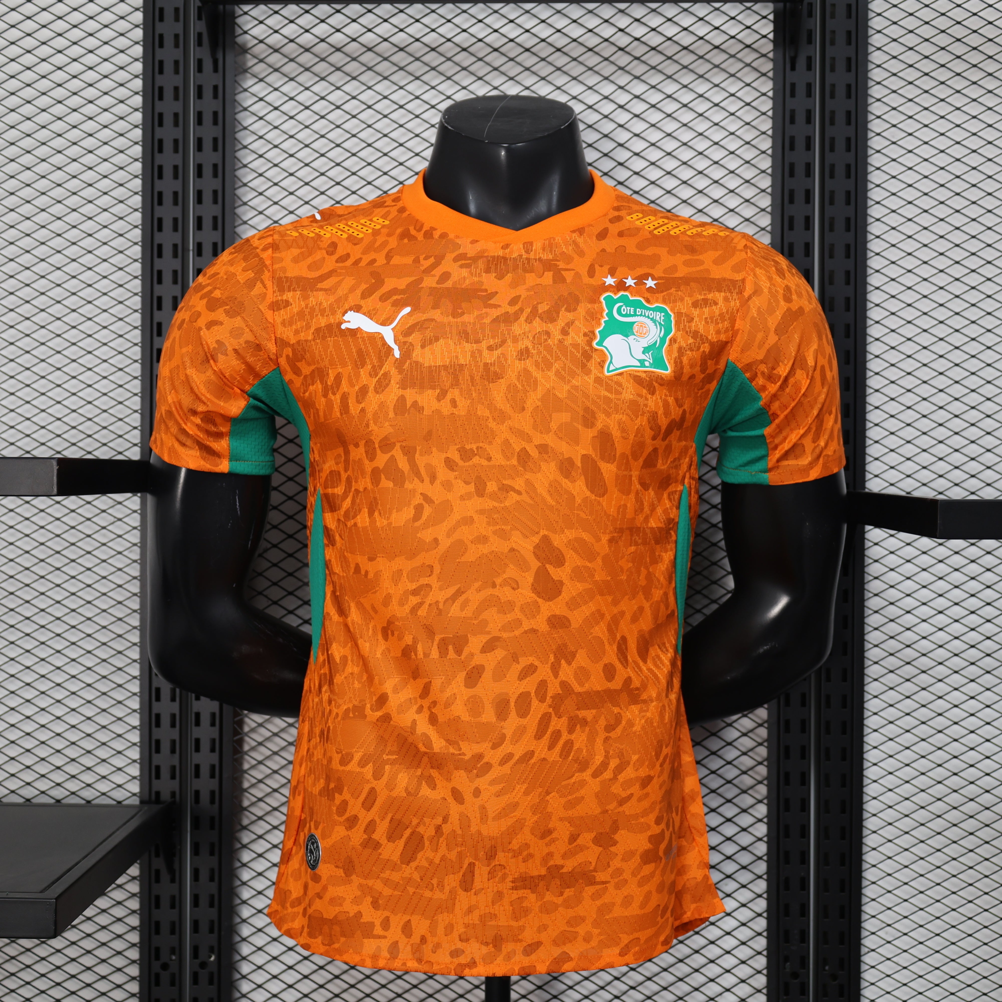Maillot Équipe de Côte d’Ivoire de football Domicile 2026
