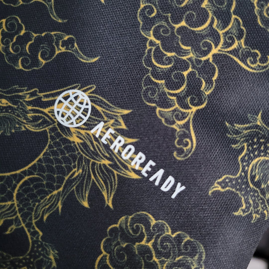 Maillot Japon concept 2023 2024 Dragon