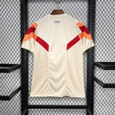 Maillot Lyon concept 2024-25